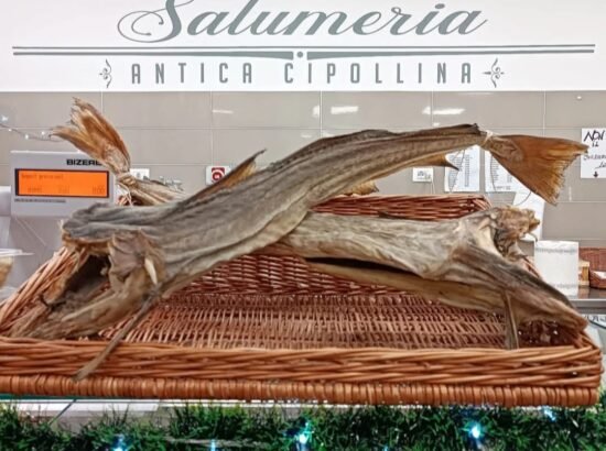 Antica Cipollina Supermarket 